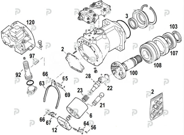 HPV116